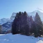 شقة Blaugletscher By Interhome جريندلوالد
