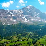Blaugletscher By Interhome شقة جريندلوالد