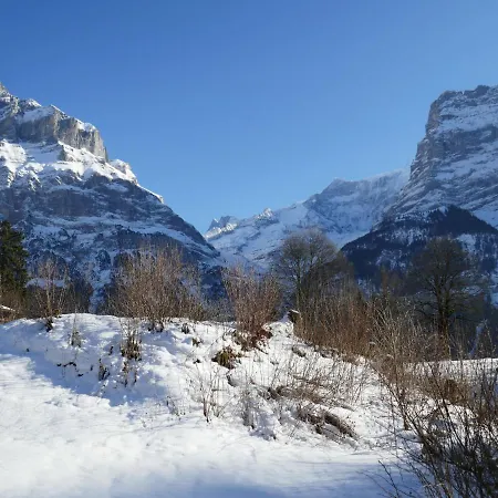 Blaugletscher By Interhome Apartment Grindelwald
