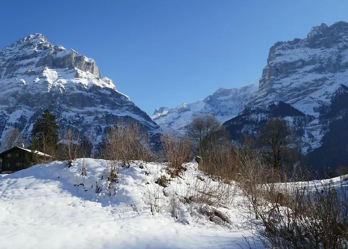 Blaugletscher By Interhome Daire Grindelwald
