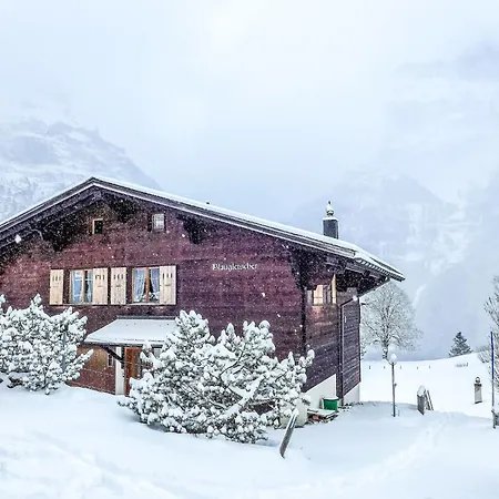 Blaugletscher By Interhome