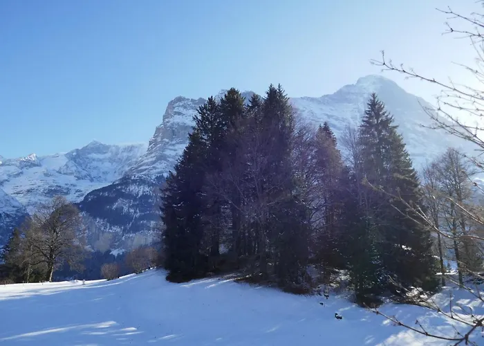 Apartman Blaugletscher By Interhome Grindelwald