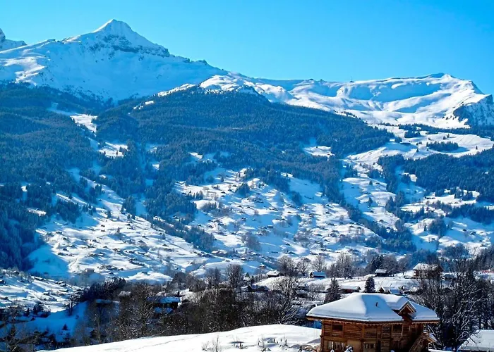 Blaugletscher By Interhome Grindelwald
